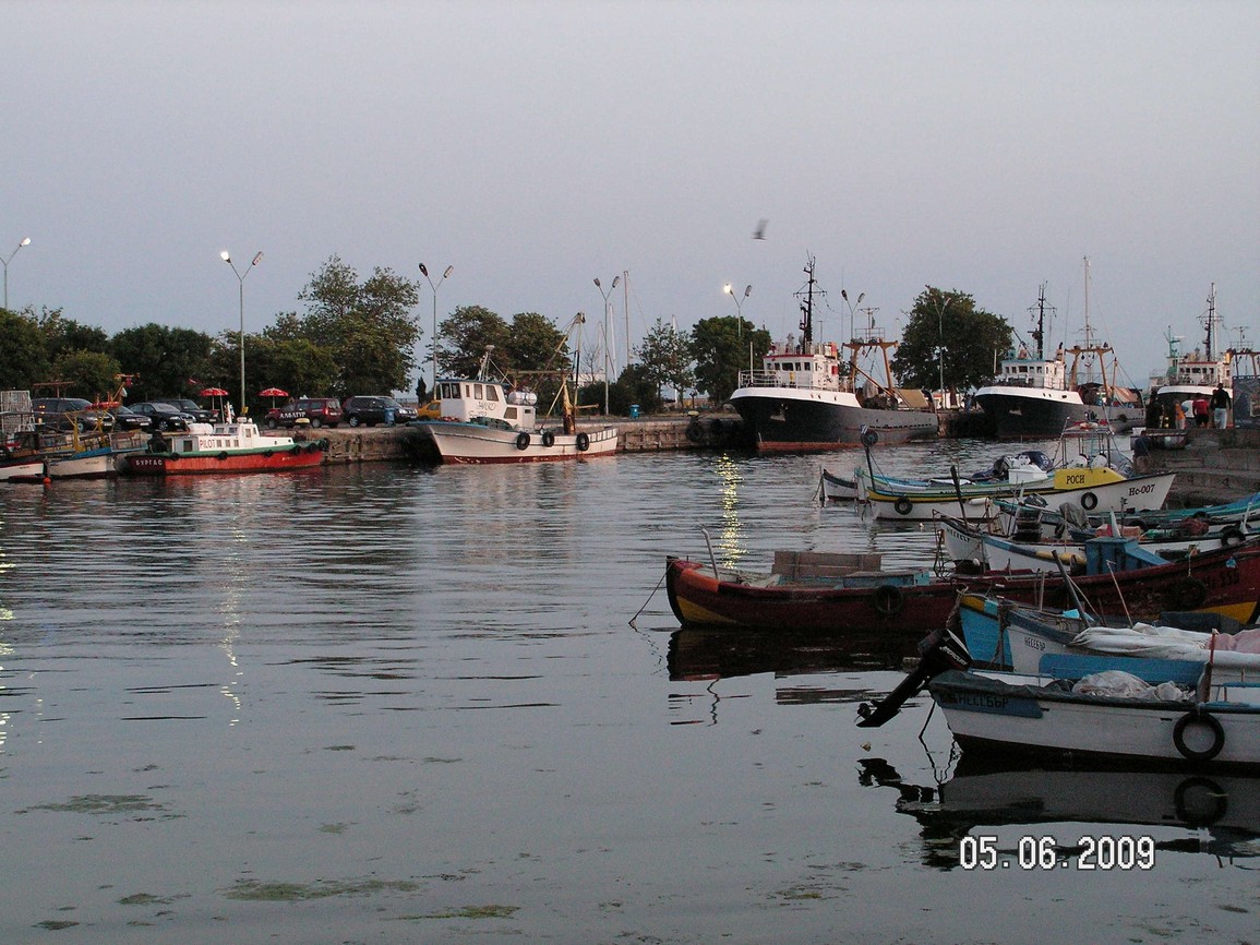 PICT0102.jpg