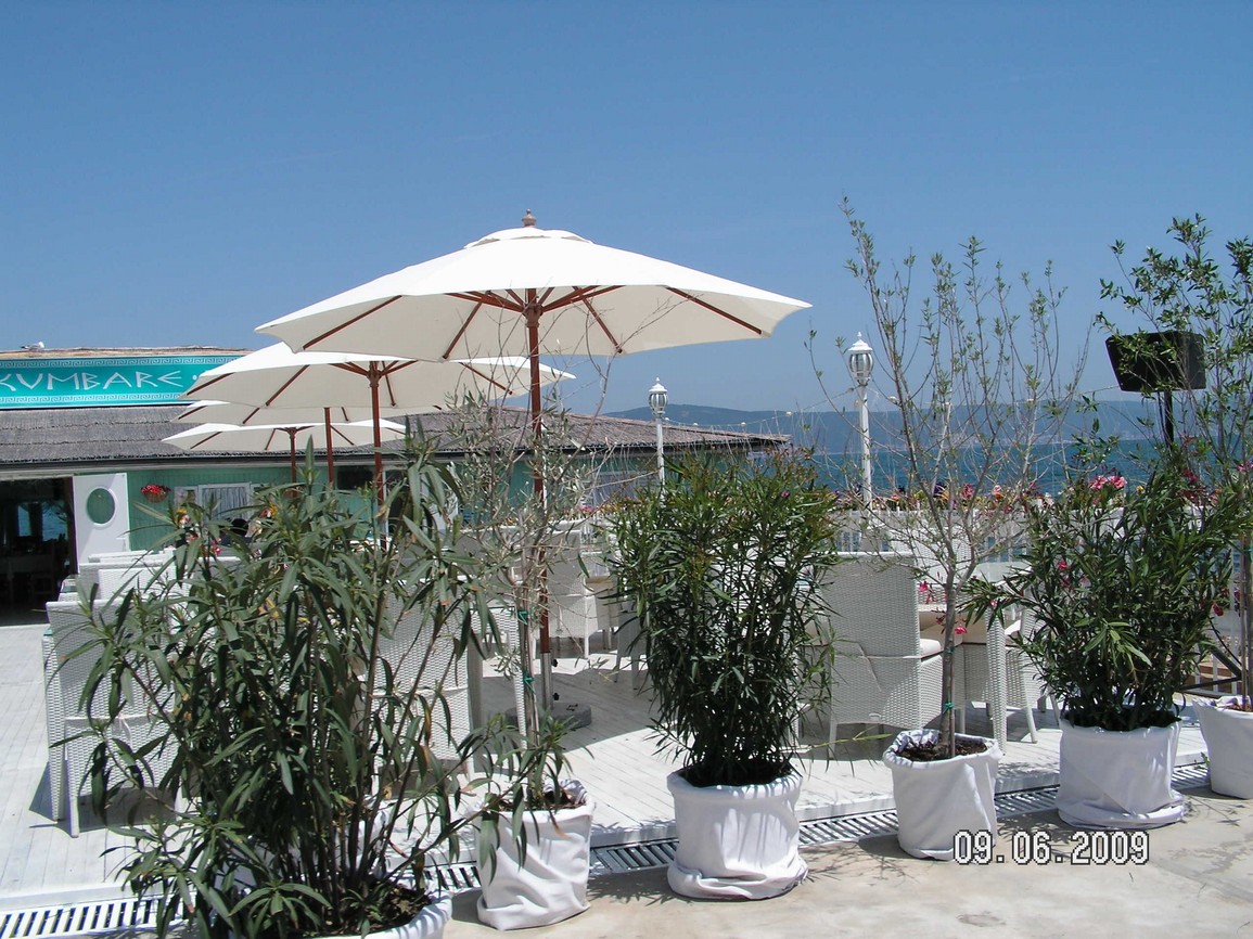 PICT0367.jpg